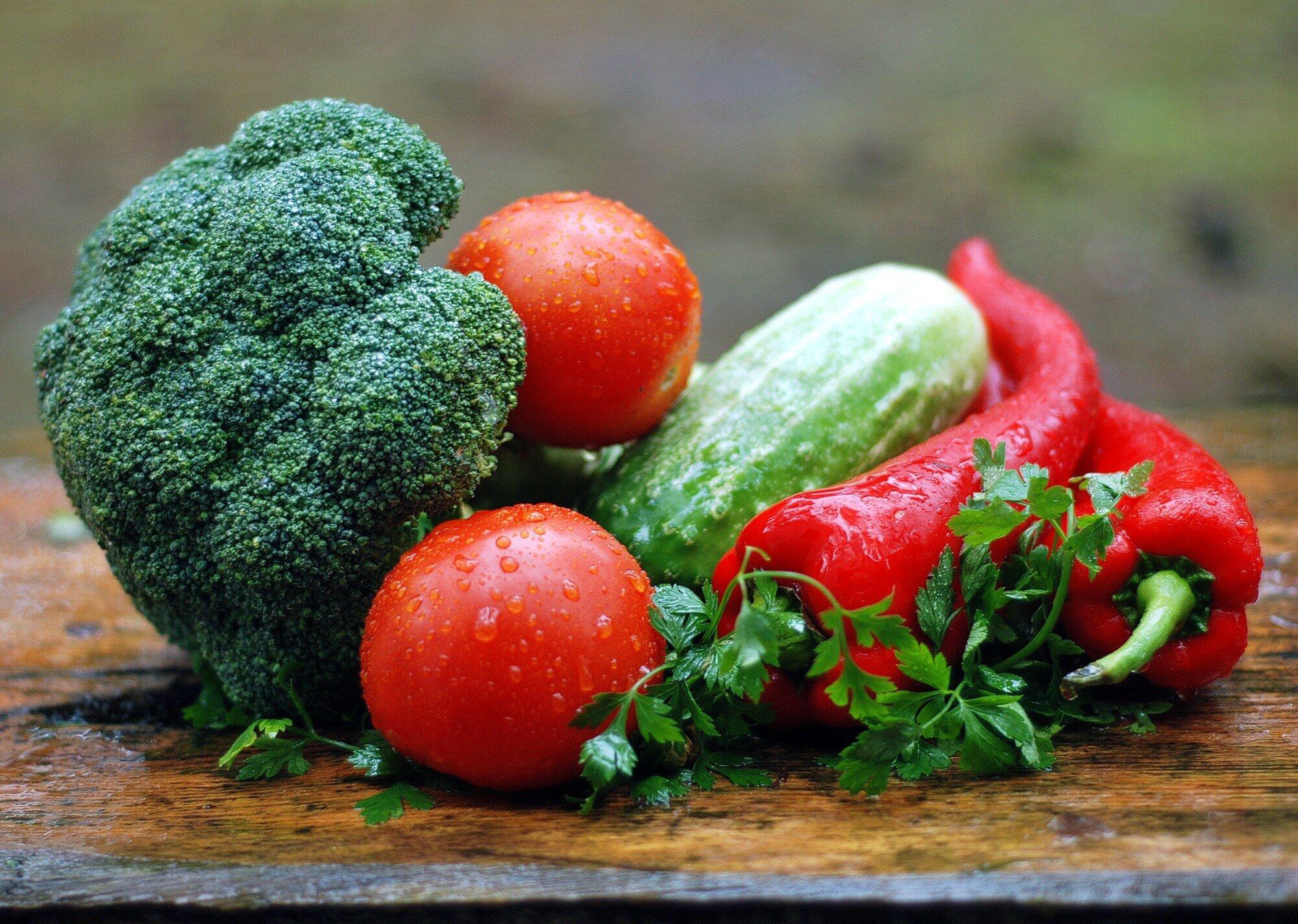 Diet for Brain Health: Smart Eating for Senior Minds